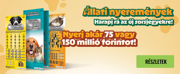Kutyák és macskák